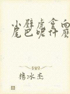 小壁虎会向谁借尾巴呢什么符号