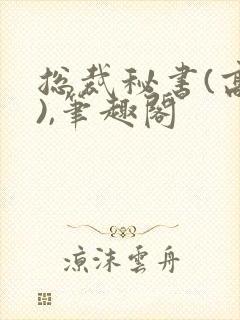 总裁秘书(高干),笔趣阁