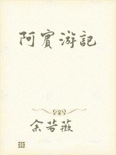 阿宾游记封面
