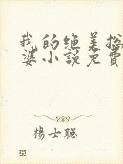 我的绝美总裁老婆小说免费阅读全文