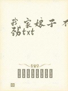 我家娘子 不对劲txt