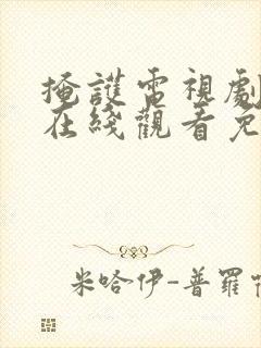 掩护电视剧全集在线观看免费封面