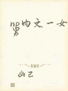 np肉文一女多男封面