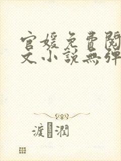 官媛免费阅读全文小说无弹窗