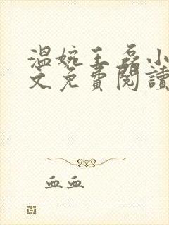 温婉王磊小说全文免费阅读无弹窗