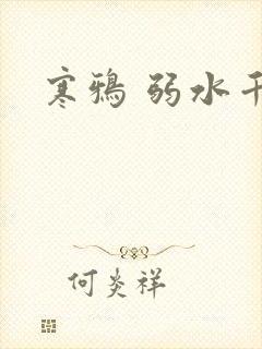 寒鸦 弱水千流