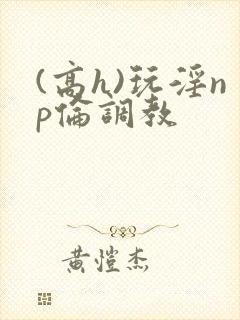 (高h)玩淫np伦调教