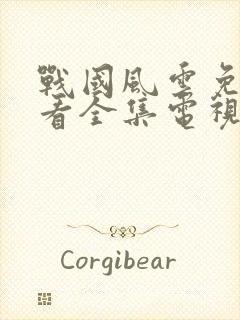 战国风云免费观看全集电视剧完整版封面