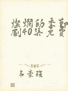 灿烂的季节电视剧40集免费观看高清