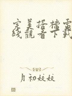 完美搭档电影在线观看下载看