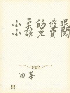 小柔的催眠日记小说免费阅读无弹窗封面