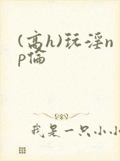 (高h)玩淫np伦