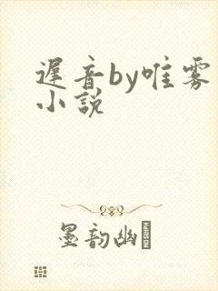 迟音by唯雾的小说