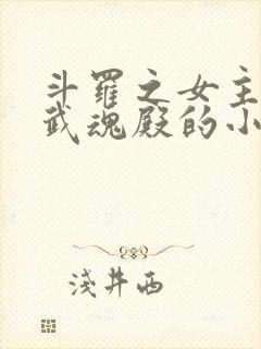 斗罗之女主加入武魂殿的小说封面