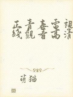 正青春电视剧在线观看高清全集