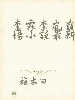 李霖李岚巅峰官场小说最新章节更新