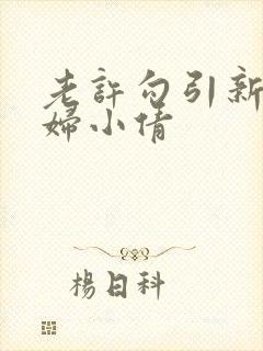 老许勾引新婚少妇小倩封面