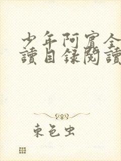 少年阿宾全文阅读目录阅读