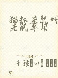 猫抓老鼠叫声吓老鼠专用