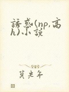 诱惑(np,高h)小说