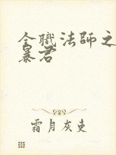 全职法师之雷霆暴君