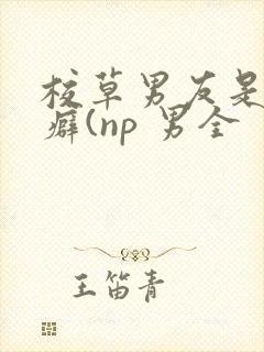 校草男友是绿帽癖(np 男全