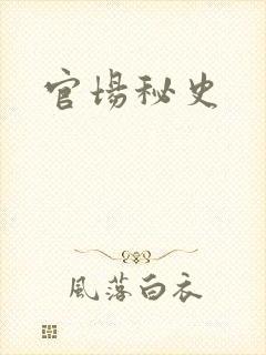官场秘史