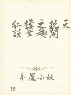 红楼之挽天倾小说笔趣阁