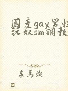 国产gay男性玩奴sm调教小蓝