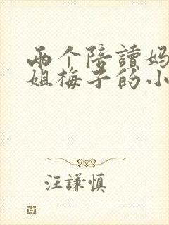 两个陪读妈妈赵姐梅子的小说