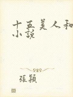 十五美人和阿健小说封面