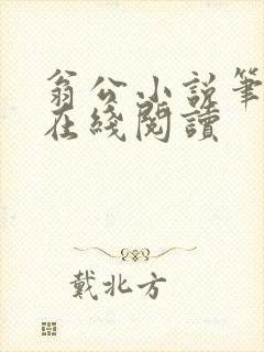 翁公小说笔趣阁在线阅读