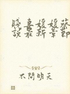 贱妻媛媛蔡叔小说最新章节更新