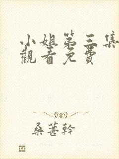 小姐第三集在线观看免费