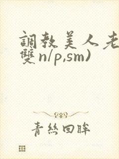 调教美人老师(双n/p,sm)