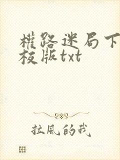 权路迷局下载精校版txt