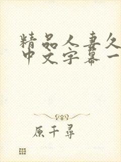 精品人妻久久久中文字幕一区二区三区