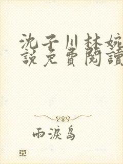 沈子川林婉清小说免费阅读最新章节