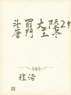 斗罗大陆2绝世唐门 王冬封面