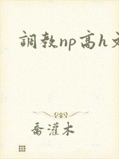 调教np高h文
