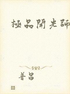 极品开光师封面