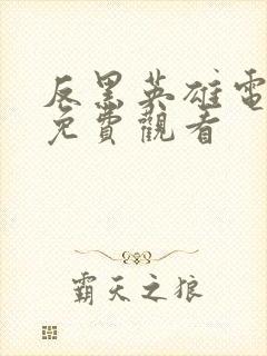 反黑英雄电视剧免费观看