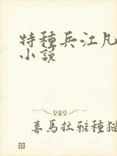 特种兵江凡主角小说