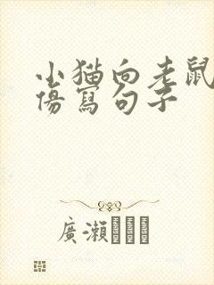 小猫向老鼠扑去仿写句子封面