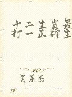 十二生肖最实际打一正确生肖