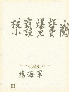 校霸爆炸小漂亮小说免费阅读封面