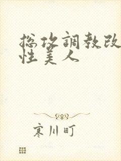 总攻调教改造双性美人