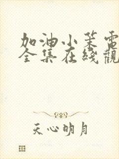 加油小茉电视剧全集在线观看免费播放