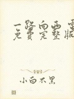 一路向西 电影免费完整版在线观看封面