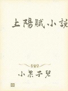 上阳赋小说封面